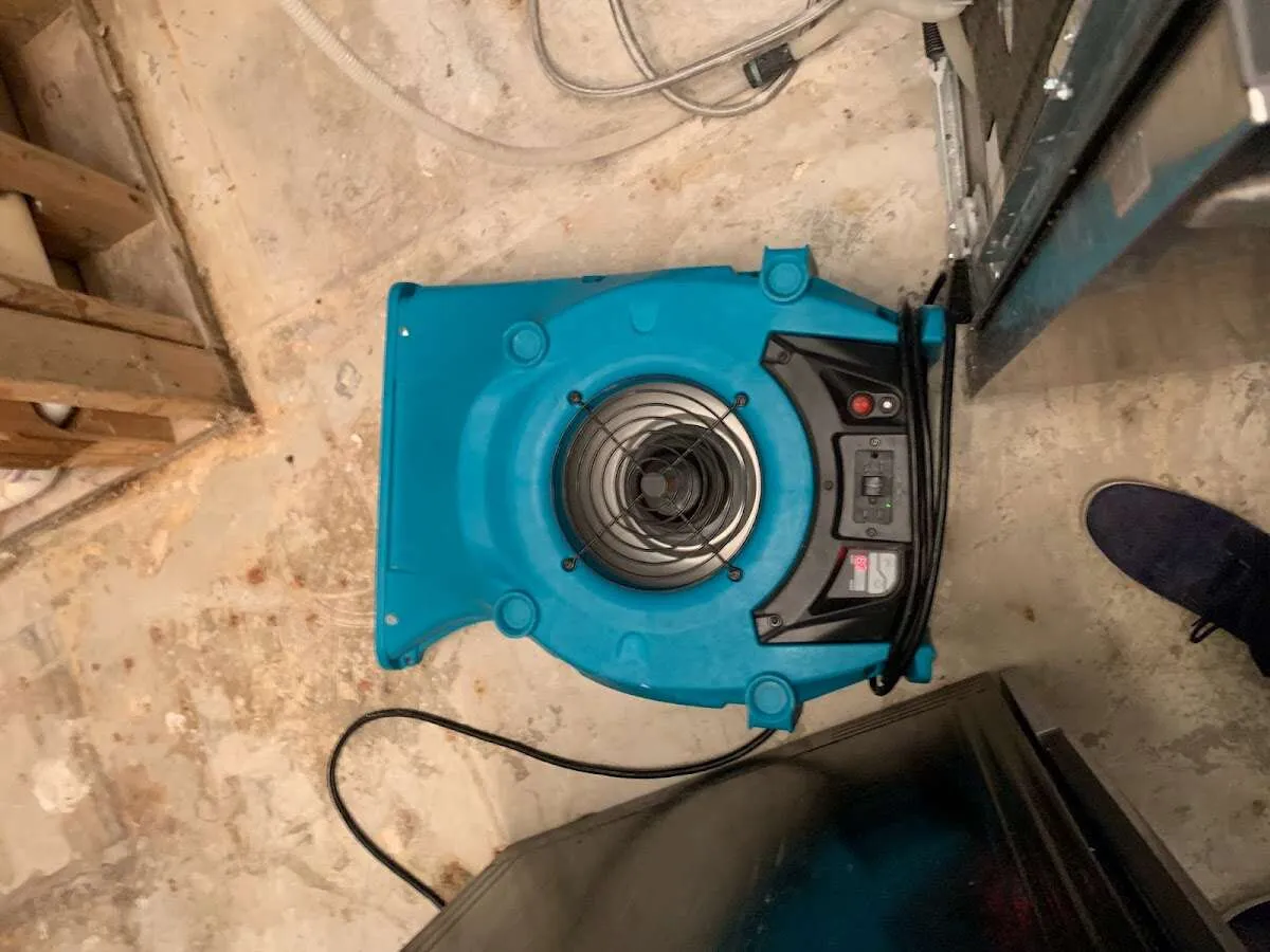Air mover drying equipment for Mold Remediation & Removal in Spotswood