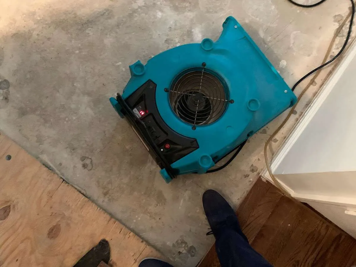 Air mover drying subfloor during Commercial Water Damage Restoration in Spotswood
